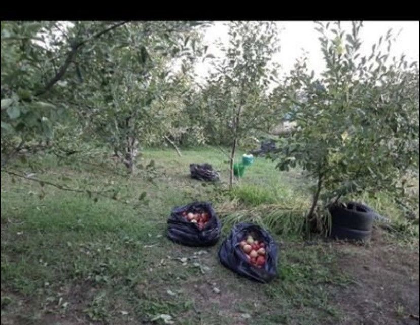 дом г Волгоград снт Чайка ул Абрикосовая городской округ Волгоград фото 4