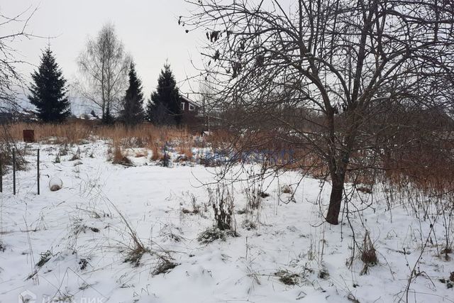 городской округ Бор, деревня Матвеевка фото