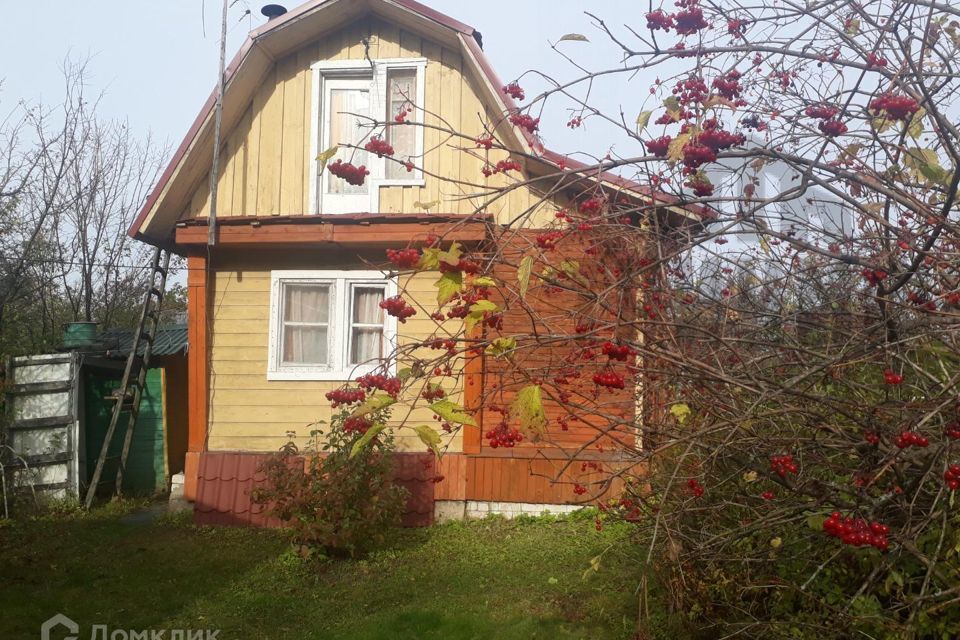 дом городской округ Семёновский, садовое некоммерческое товарищество Осинки фото 6