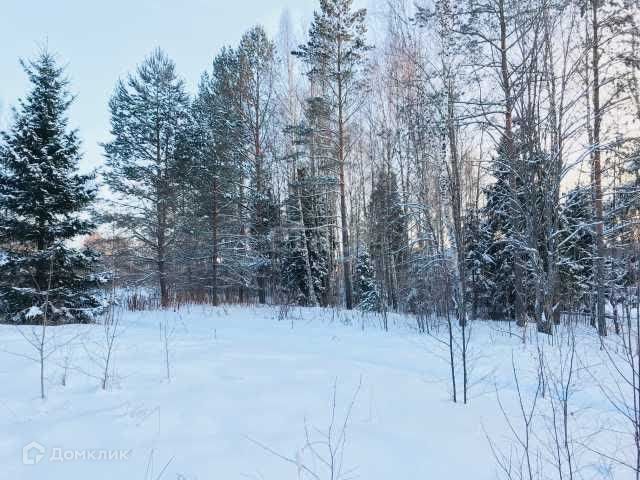 садоводческое товарищество Вурдысь фото