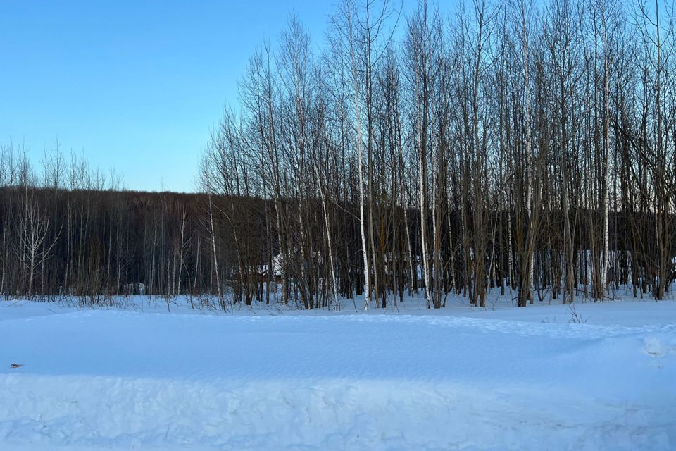 земля г Пенза городской округ Пенза, коттеджный посёлок Дубрава фото 2