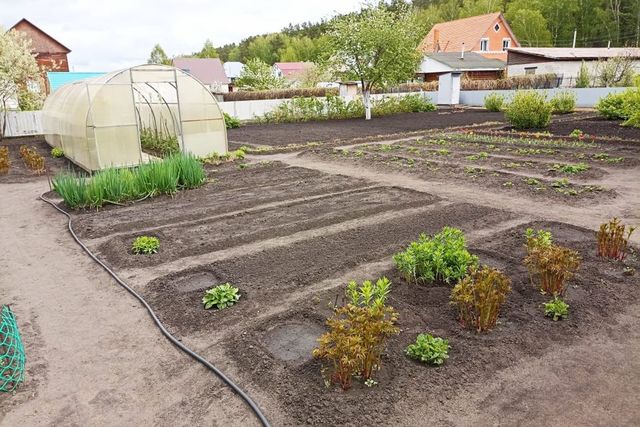 городской округ Курган, Сиреневая улица фото