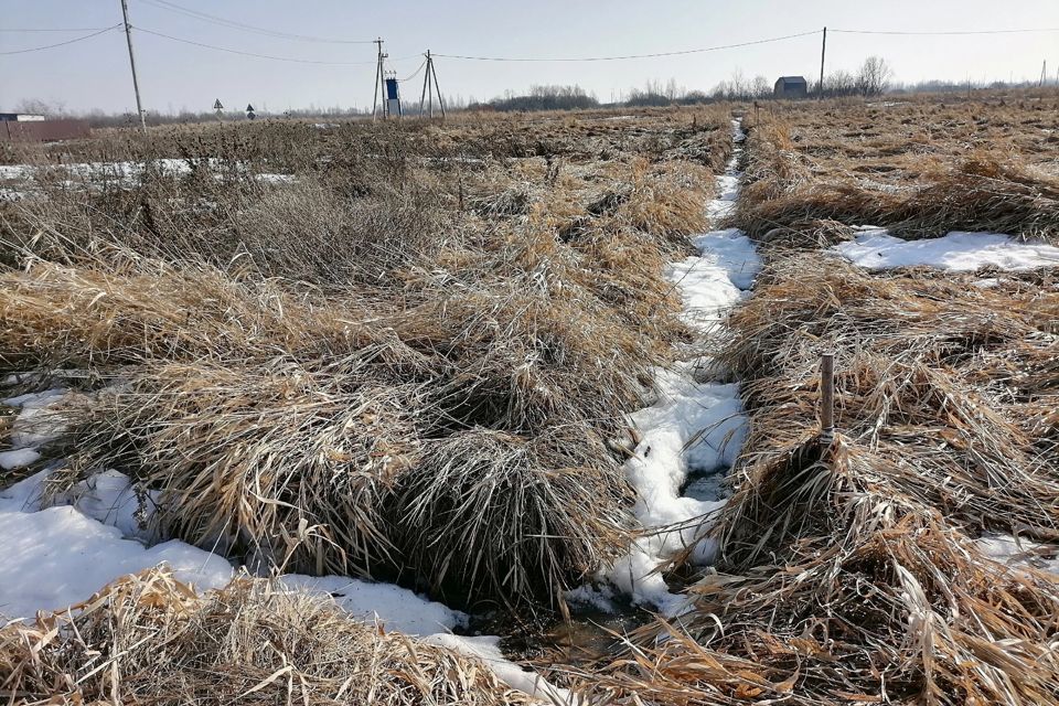 земля р-н Новгородский деревня Большое Подсонье фото 1