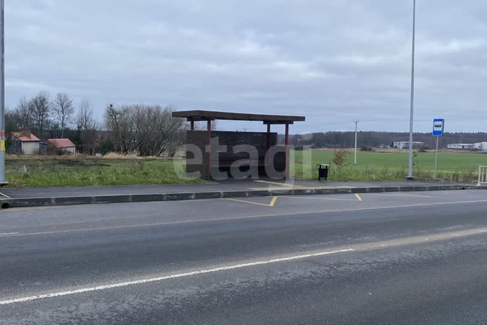 земля г Калининград городской округ Калининград, микрорайон Совхозный фото 8