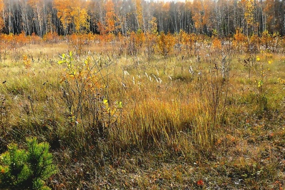 земля г Бор мкр 2-й городской округ Бор, Микрорайон фото 3