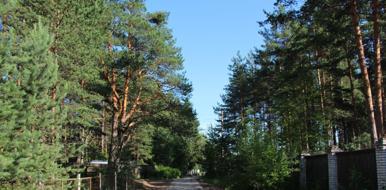 земля г Санкт-Петербург п Репино ул Финляндская Беговая фото 3