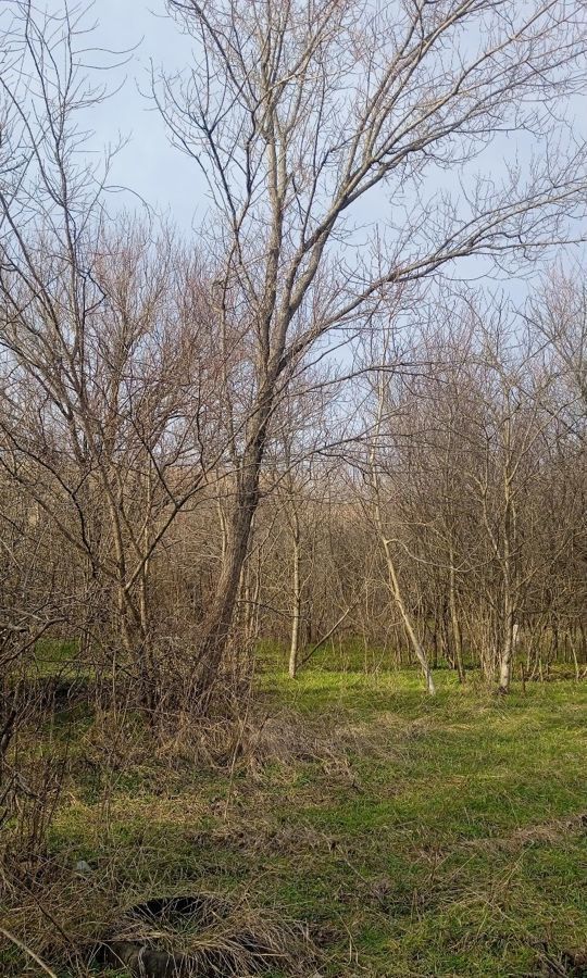 земля р-н Кавказский г Кропоткин ул Сосновая Кропоткинское городское поселение фото 5