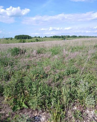 ул Гагарина Старогоряшинское сельское поселение, Краснослободск фото