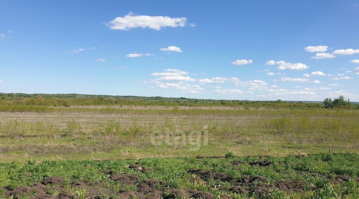 земля г Ульяновск с Луговое ул Заречная фото 4