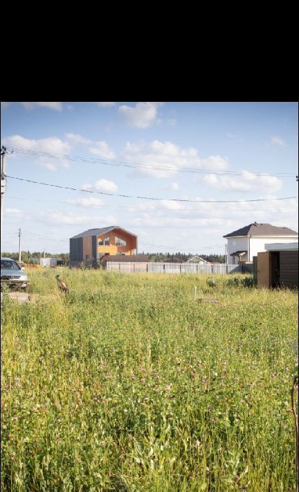 земля городской округ Пушкинский Северный Берег дп фото 3