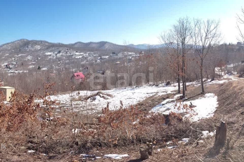 земля Владивостокский городской округ, дачный массив Синяя Сопка, СНТ Брусничка фото 8