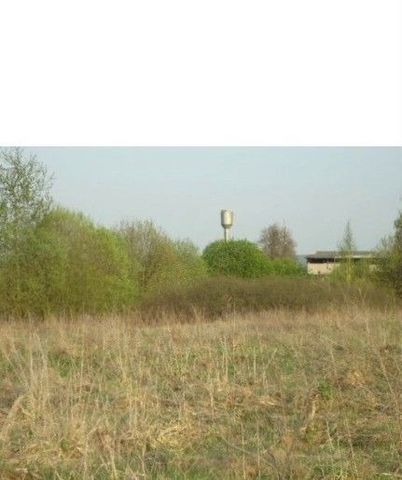 земля д Ивашковичи сельское поселение Трубино, Жуков фото