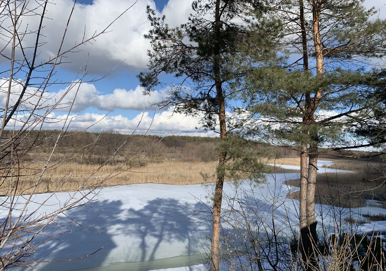 земля г Воронеж р-н Железнодорожный мкр-н Репное фото 3