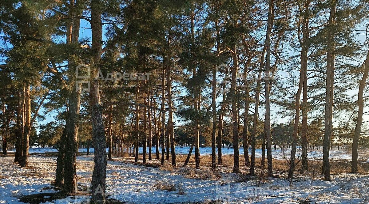 земля г Волгоград р-н Советский ул им. Джамбула Джабаева фото 9