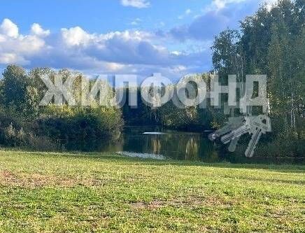 земля р-н Ордынский с Красный Яр ул Молодежная фото 1