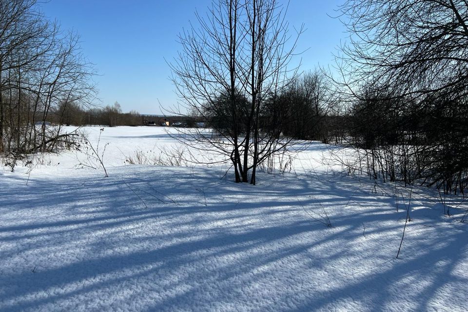 земля р-н Суворовский село Мишнево фото 2