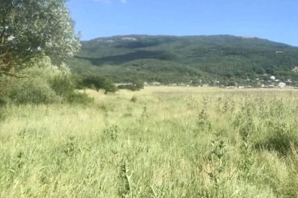 земля г Севастополь Балаклавский район, КСП Красный Октябрь фото 4