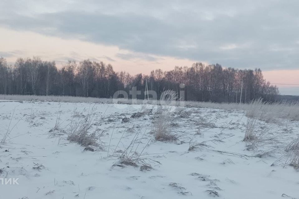 земля р-н Прокопьевский посёлок Свободный фото 2