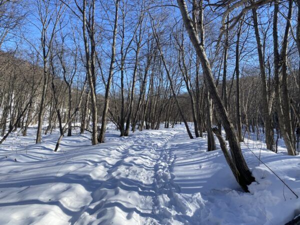 земля г Петропавловск-Камчатский городской округ Петропавловск-Камчатский, жилой район Кирпичики фото 4