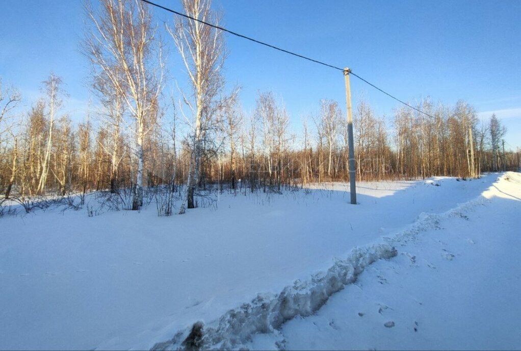 земля р-н Тюменский рп Богандинский фото 1