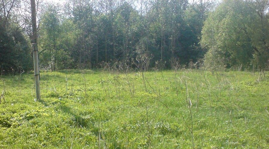земля г Дзержинск снт Энергетик Богородский район фото 1