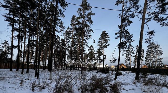 земля р-н Октябрьский днт Перспектива ул Красивая 3а фото