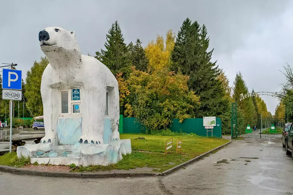 квартира г Новосибирск ул Челюскинцев 14 Гагаринская фото 23