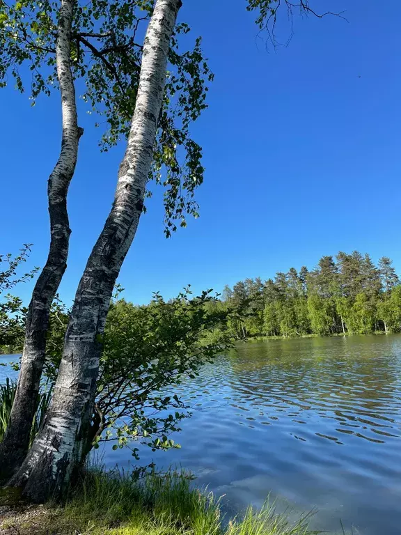 дом р-н Приозерский п Плодовое Ленинградская улица, 2 фото 10