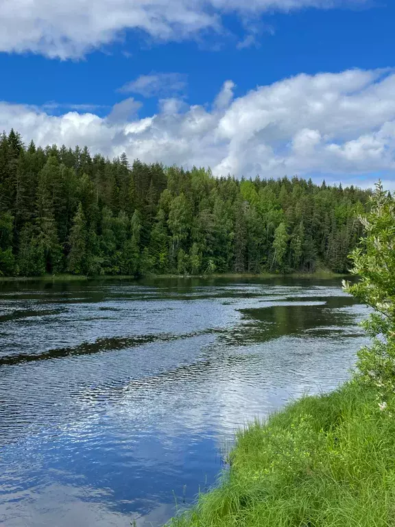 дом р-н Пряжинский п Матросы пер Шуйский 4 Петрозаводск фото 12