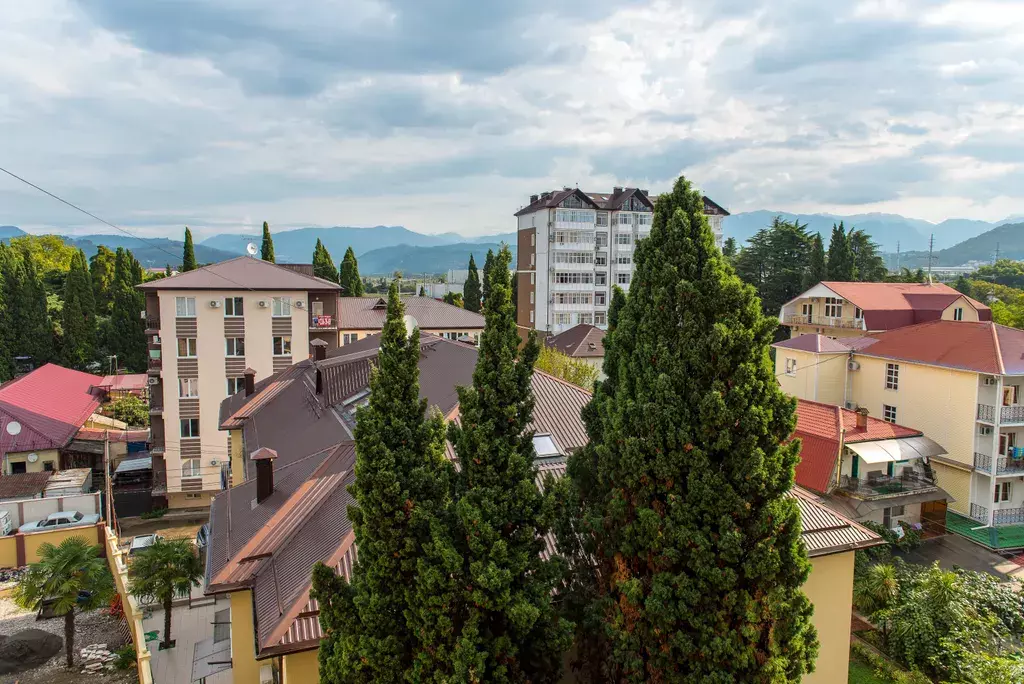 квартира г Сочи р-н Адлерский ул Тюльпанов 3 фото 8