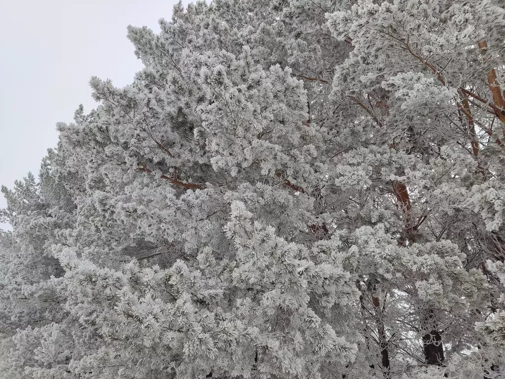 комната р-н Алтайский п Катунь ул Сибирская 4а фото 8