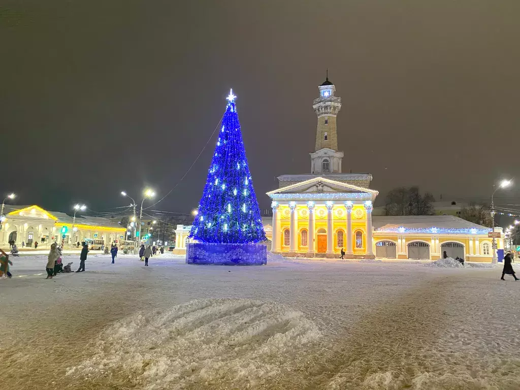 квартира г Кострома ул Беговая 59 фото 22