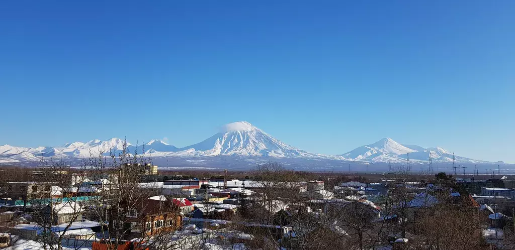 квартира р-н Елизовский г Елизово ул Ключевская 3 фото 30