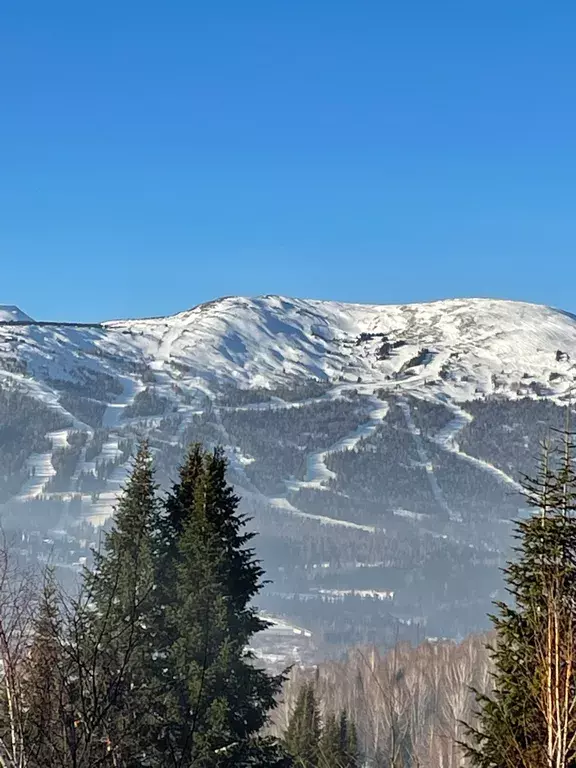 дом р-н Таштагольский пгт Шерегеш ул Свободная 18 фото 6