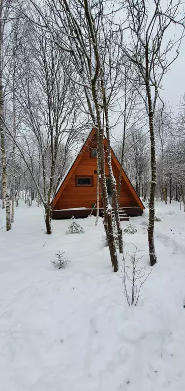 дом городской округ Шаховская д Татаринки тер Пойма Рузы Речная улица, 1, Шаховская фото 8