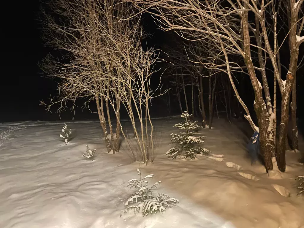 дом городской округ Шаховская д Татаринки тер Пойма Рузы Речная улица, 1, Шаховская фото 9