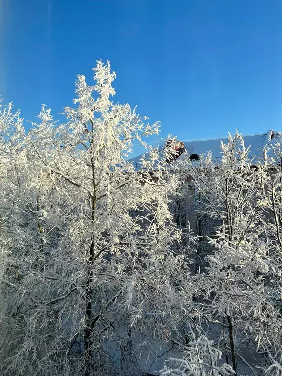 квартира г Великий Новгород ул Десятинная 2 фото 6