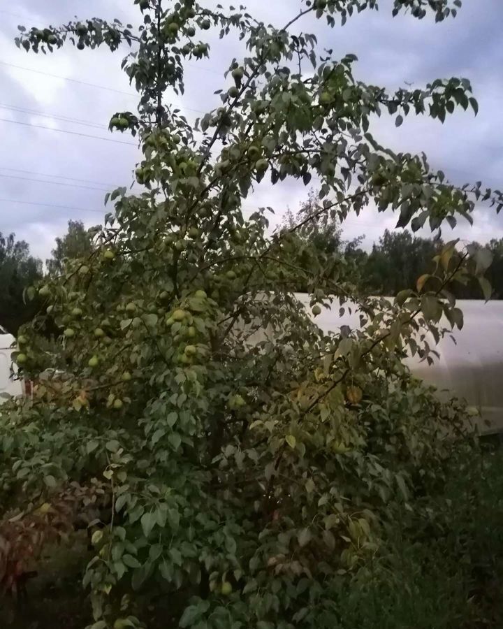 земля г Нижний Тагил р-н Ленинский снт Старатель-3 фото 8