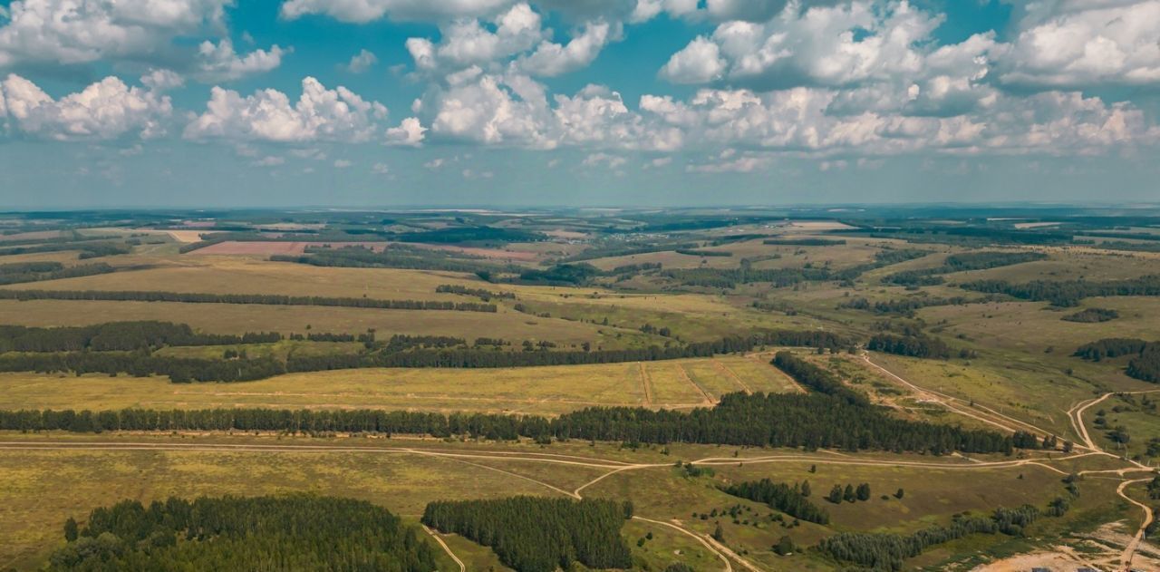 земля р-н Зеленодольский д Берновые Ковали ул Центральная Бишнинское с/пос фото 3