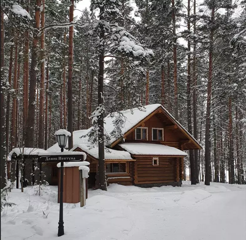 дом р-н Приозерский п Петровское территория, б/н, Сосново фото 1