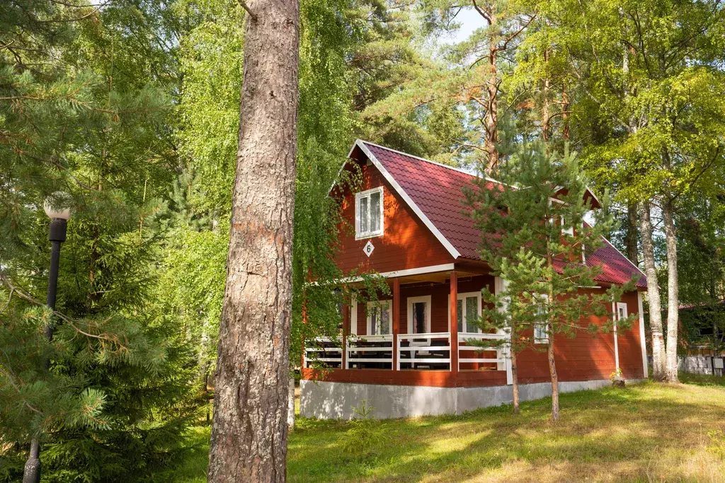 дом р-н Окуловский д Дорищи б/н, Великий Новгород фото 1