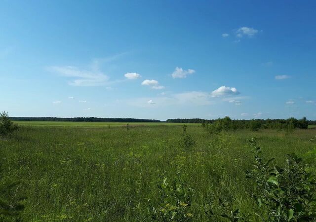земля ул Словенская 4 Ракомское сельское поселение, Великий Новгород, Юрьево фото