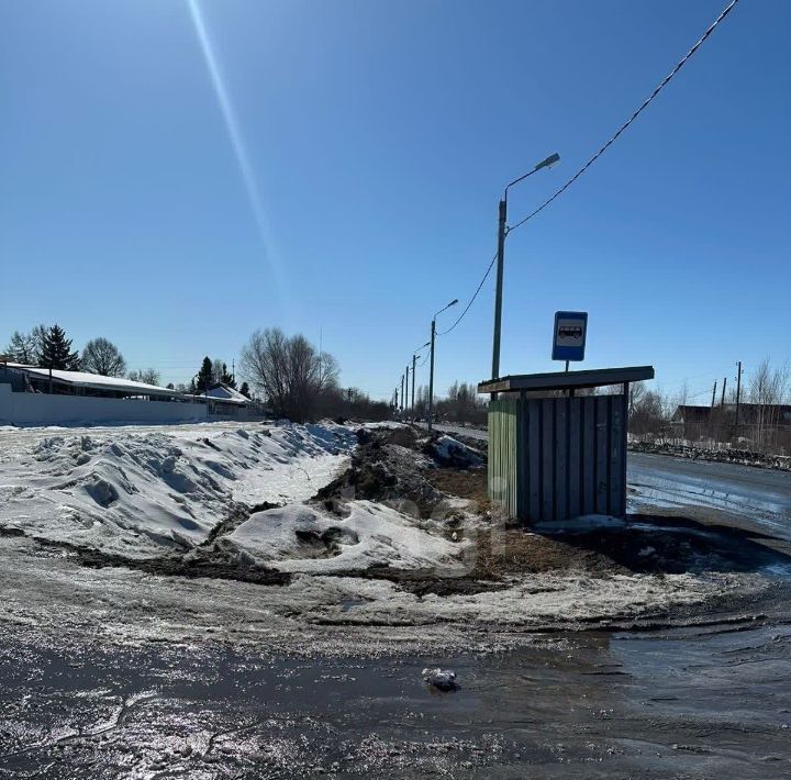 земля г Омск р-н Центральный снт Любитель-3 фото 14