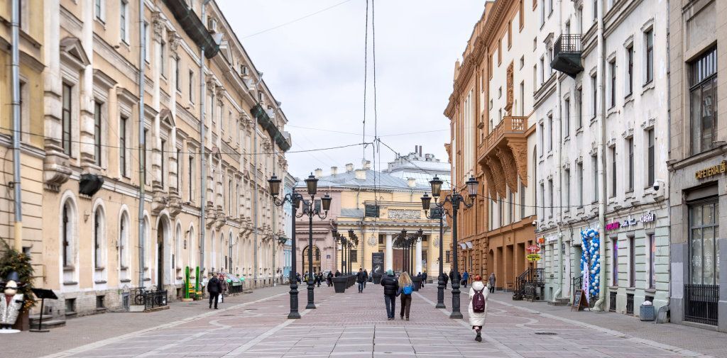 квартира г Санкт-Петербург р-н Центральный ул Малая Садовая 3/54 фото 23