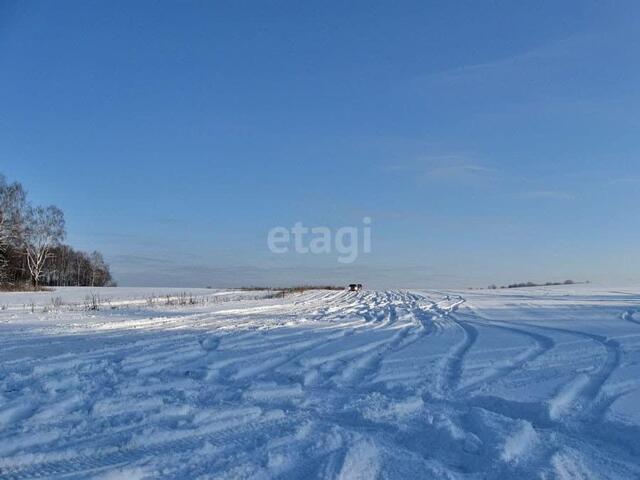 Первомайский, Засечное фото