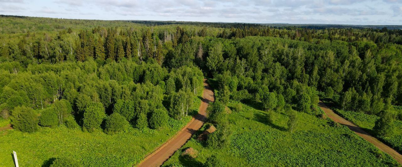 земля г Балашиха кв-л Изумрудный Дмитровский городской округ фото 15