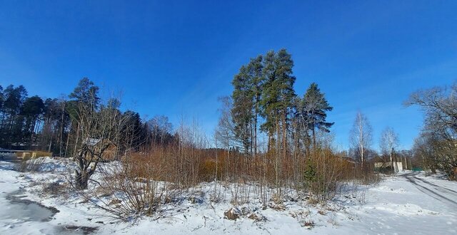 земля Советское городское поселение, городской пос. Советский фото