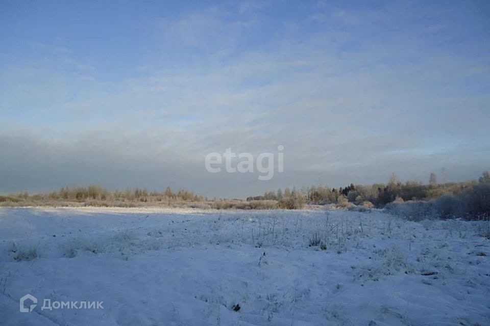 земля р-н Омский п Пятилетка ул Березовая фото 2