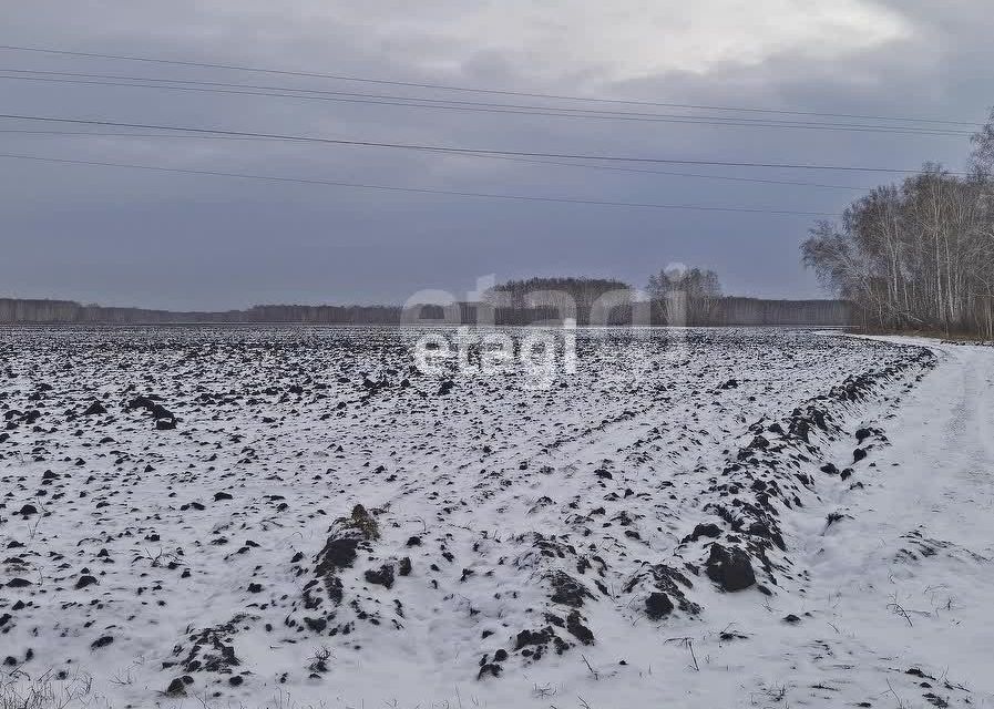 земля р-н Омский п Пятилетка ул Березовая фото 7