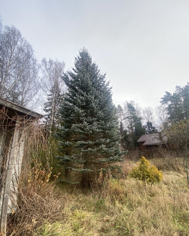 земля р-н Ивановский д Полуниха Коляновское сельское поселение, Кохма фото 3